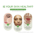 Aloe Vera Extract Hydrating Repair Sheet Facial Mask